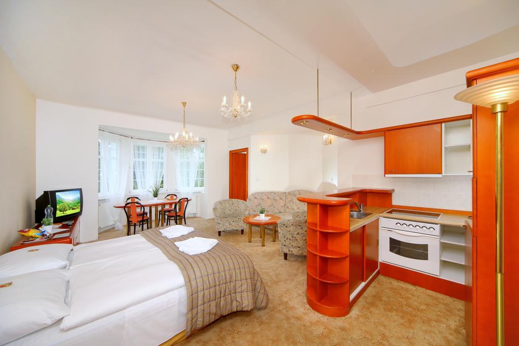 Palace Club Špindlerŭv Mlýn 객실 사진